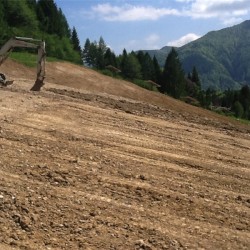 FORNI2